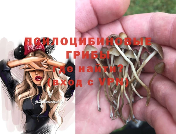 молекула духа Лихославль