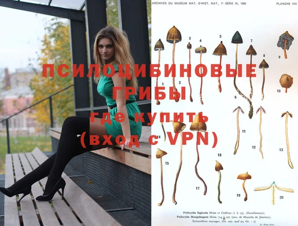 молекула духа Лихославль