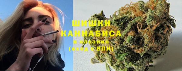 ГАЛЛЮЦИНОГЕННЫЕ ГРИБЫ Лиски