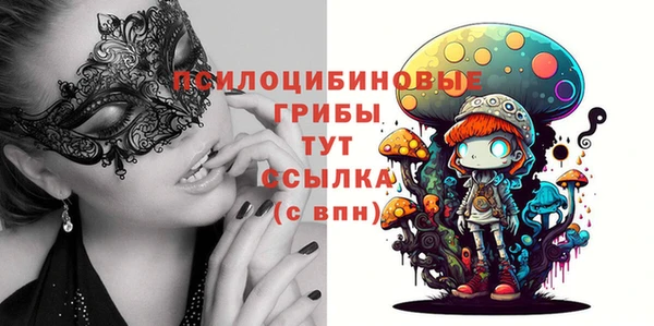 молекула духа Лихославль