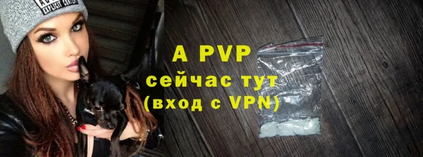 эйфоретик Магадан