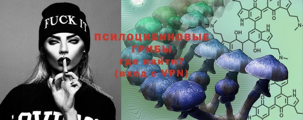 дурь Майский