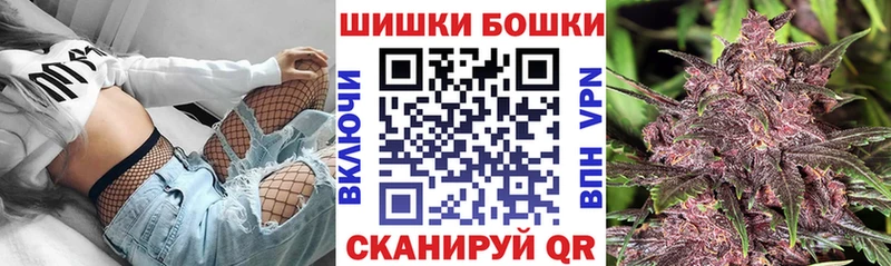 Купить где  Карасук  Бошки марихуана план 